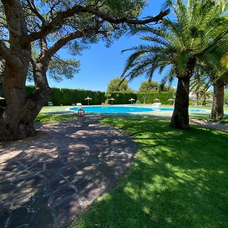 Apartamentos Tres Playas Altamar Alcossebre Extérieur photo